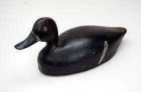 black duck 1