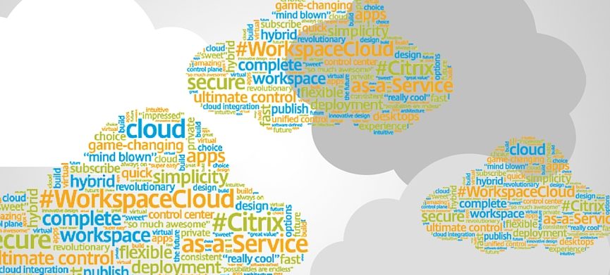 Malux effektiviserar med Citrix Cloud Workspace