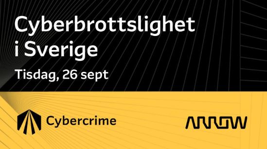 Cyberbrottslighet i Sverige