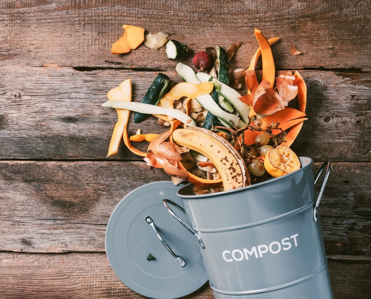 Stena Line väljer Generation Waste som ny leverantör för att minska matsvinnet och främja hållbarhet till havs Stena Line väljer Generation Waste som ny leverantör för att minska matsvinnet och främja hållbarhet till havs