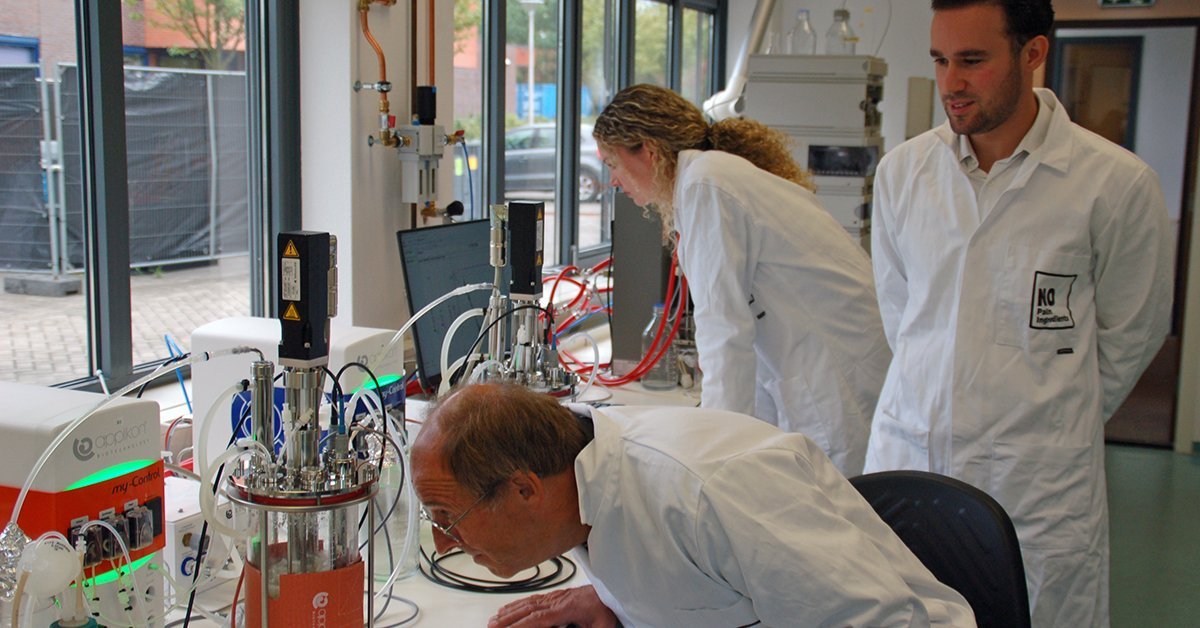 Utveckling av alternativ till palmolja med Getinges bioreaktorer