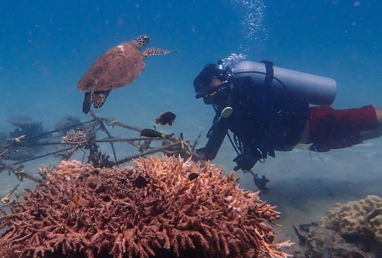Tēnaka och Orange Business i samarbete för restaurering av korallrev