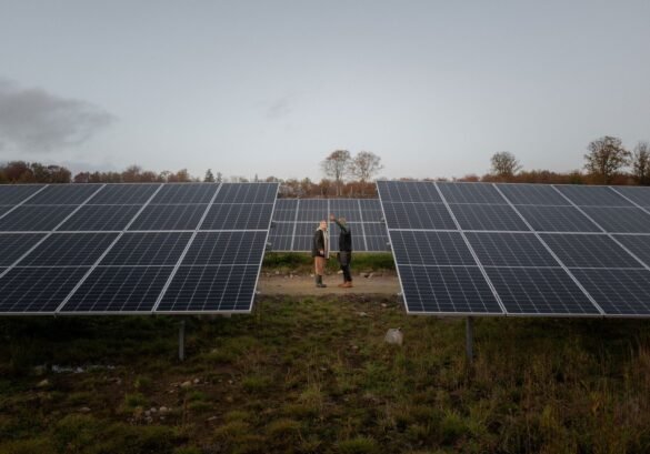 Så kan företag inom fastighetsbranschen bidra till mer solenergi