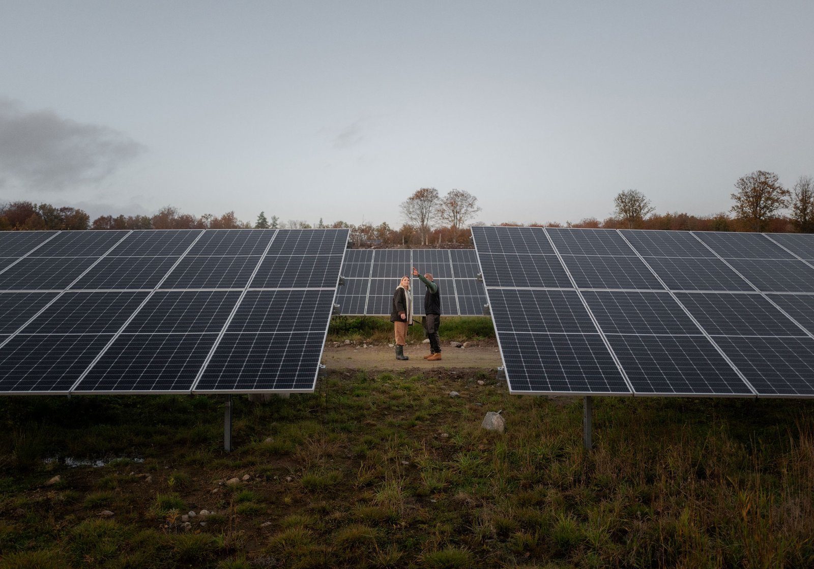 Så kan företag inom fastighetsbranschen bidra till mer solenergi