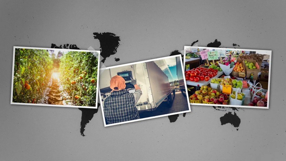 Digitalisering - Att minska matsvinn med hjälp av smart teknik