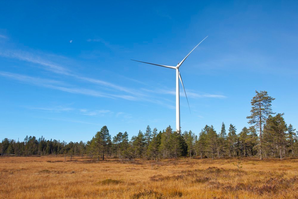 Skåne och Stockholm behöver prioriteras när vindkraften byggs ut