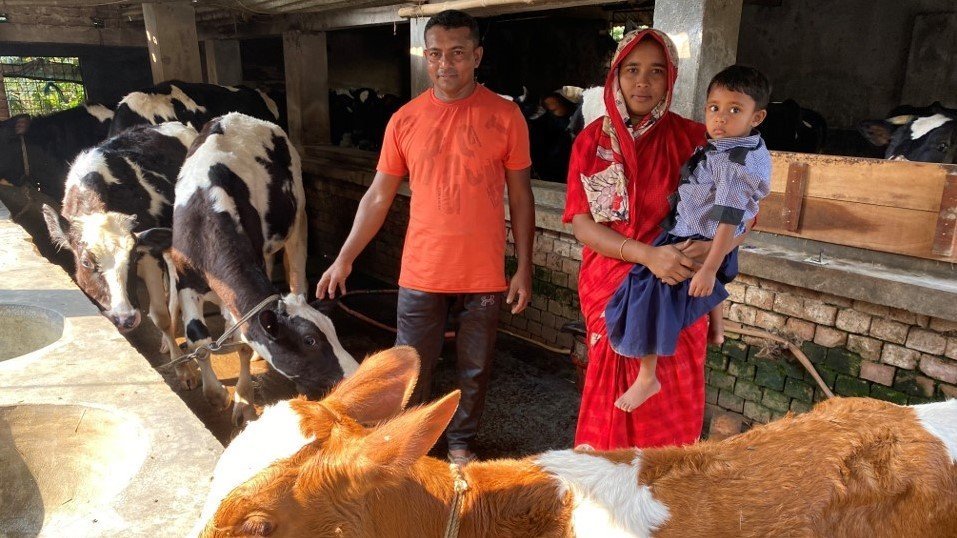 Arla hjälper bönder i Bangladesh att minska klimatutsläpp Arla hjälper bönder i Bangladesh att minska klimatutsläpp
