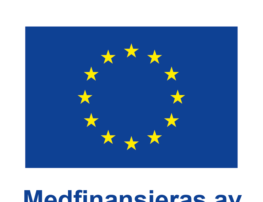 Socialförvaltningen tilldelas 12 miljoner kronor för kompetensutveckling inom funktionsstödsområdet