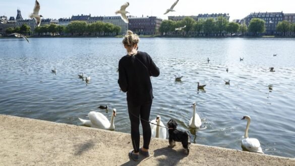 Ny rapport synar kommunernas hållbarhetsarbete