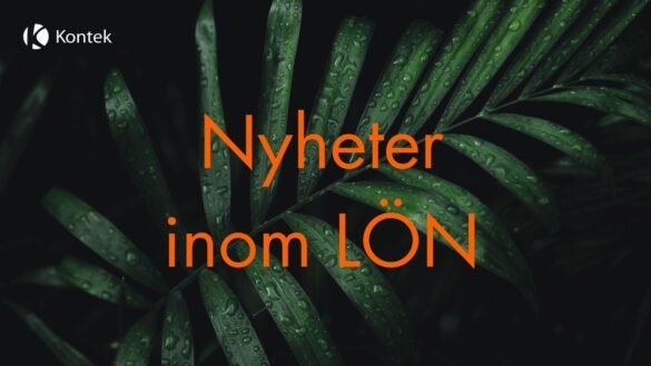 Hösttips och nyheter inom löneområdet