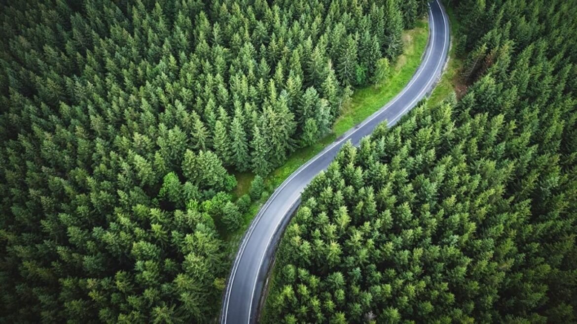 Ny rapport visar: Kortsiktig politik bromsar grön omställning