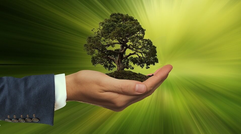 Så förenklar Unit4 vägen till leverantörskontroll och hållbarhet