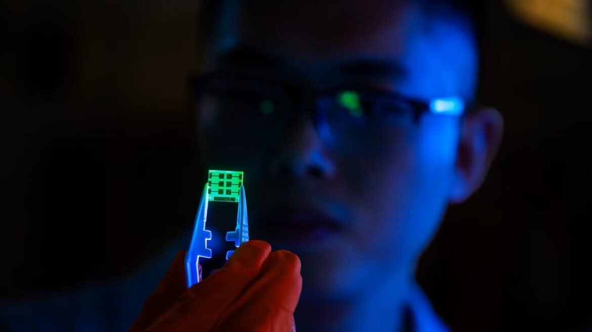 Kostnad, teknisk prestanda och miljöpåverkan – det är de tre viktigaste aspekterna för att en ny typ av lysdiodsteknik ska få brett kommersiellt genomslag på i samhället. Det har forskare vid Linköpings universitet kommit fram till i en studie.