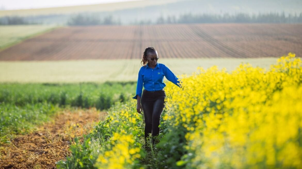 Swedfund levererar hållbart resultat- i en tid av ökade behov