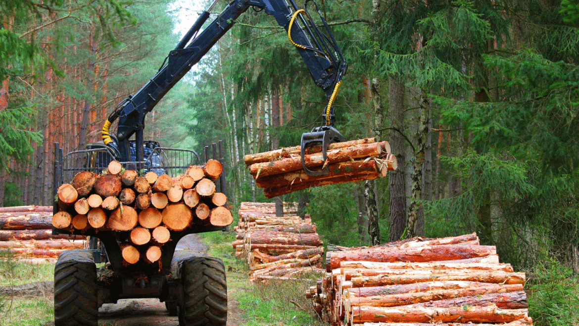 Undersökning: Svenska ensamarbetare – en utsatt yrkesgrupp