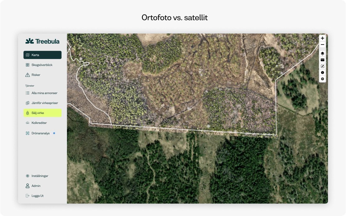 Treebula: Skogsägare får bättre koll tack vare drönare
