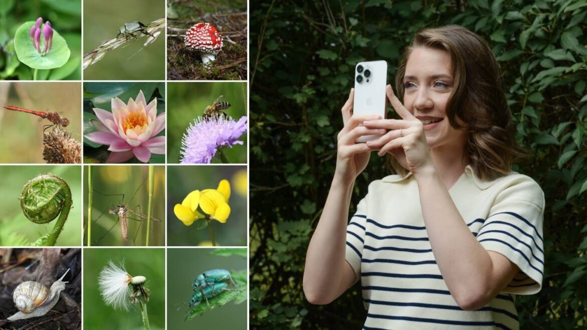 Från mobil till ekosystem: Så stärker cirkulär IT den biologiska mångfalden och ert varumärke