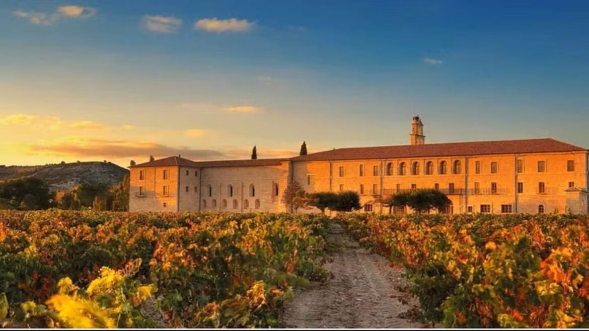 Turista med gott samvete - två verktyg och 30 cirkulära upplevelser i Spanien