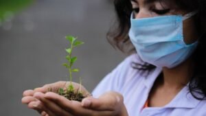 Mistra miljöforskningsledare – 15 beviljade ansökningar