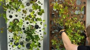 Från Umeå till Tokyo – så bygger Vertisà framtidens gröna städer Från Umeå till Tokyo – så bygger Vertisà framtidens gröna städer