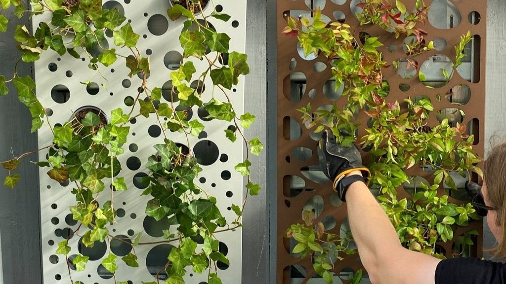 Från Umeå till Tokyo – så bygger Vertisà framtidens gröna städer