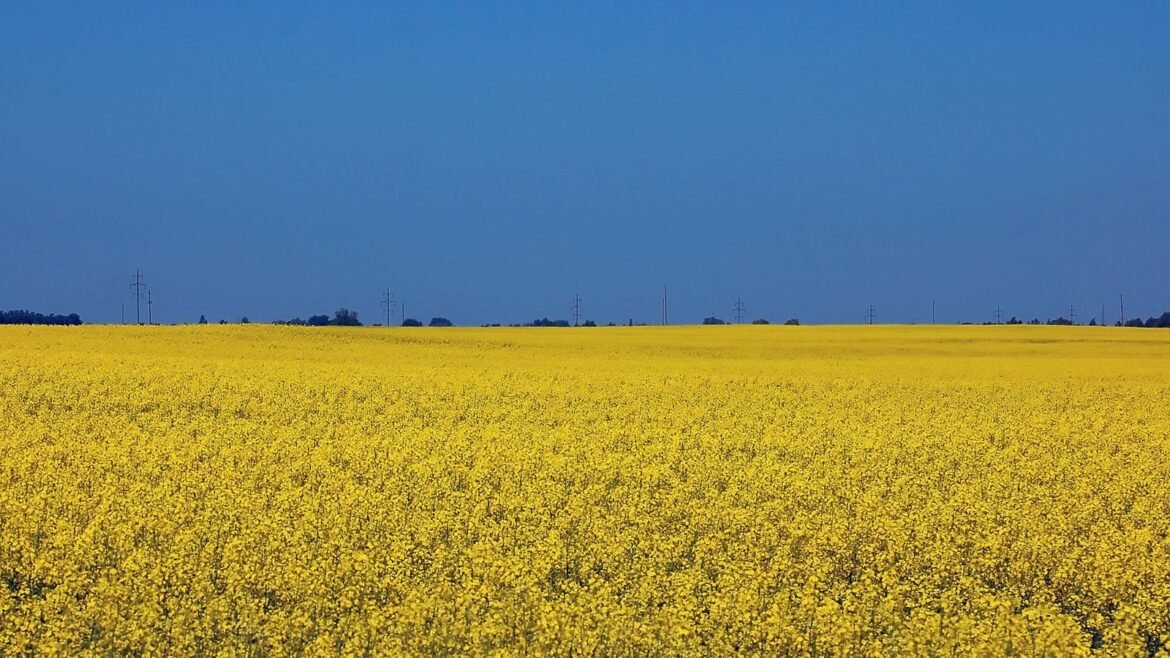 Swedfund investerar för jobb, livsmedelssäkerhet och ekonomisk motståndskraft i Ukraina