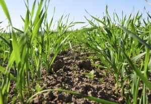 Nytt prognosverktyg för utvecklingsstadium gör det enkelt att fatta rätt beslut i rätt tid