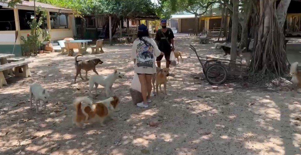 Global expansion med hjärta – Admin By Request i Thailand