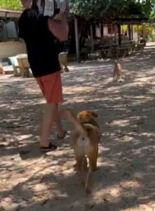 Global expansion med hjärta – Admin By Request i Thailand