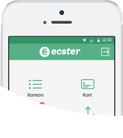 Ecster och Wikinggruppen utökar sitt samarbete genom ett komplett e-handelserbjudande helt utan startavgifter